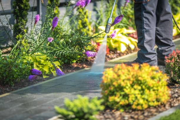 Best Soft Washing for Delicate Surfaces in Fulton, IL