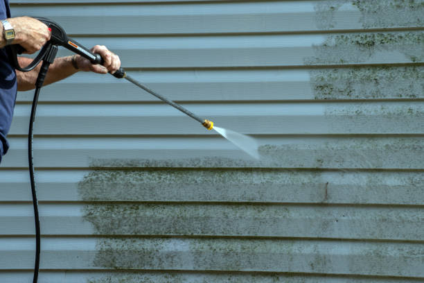 Best Driveway Cleaning and Restoration in Fulton, IL