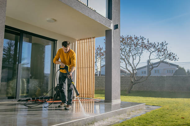 Best Gutter Cleaning and Brightening in Fulton, IL
